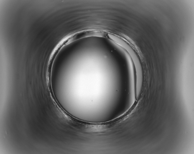 X0000087611188200704271335