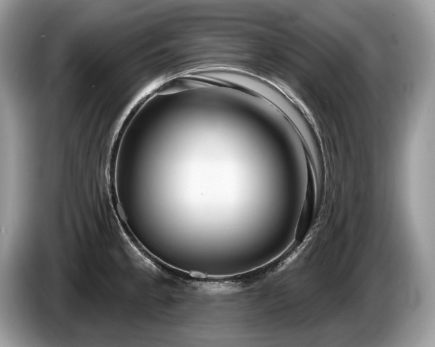 X0000087611189200704271335