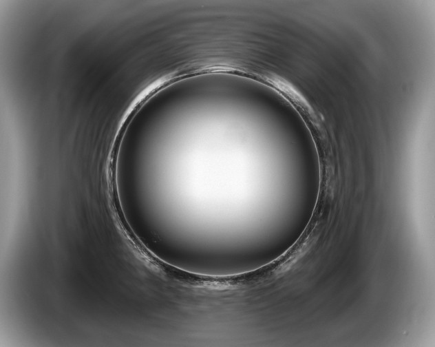 X0000087611190200704271335