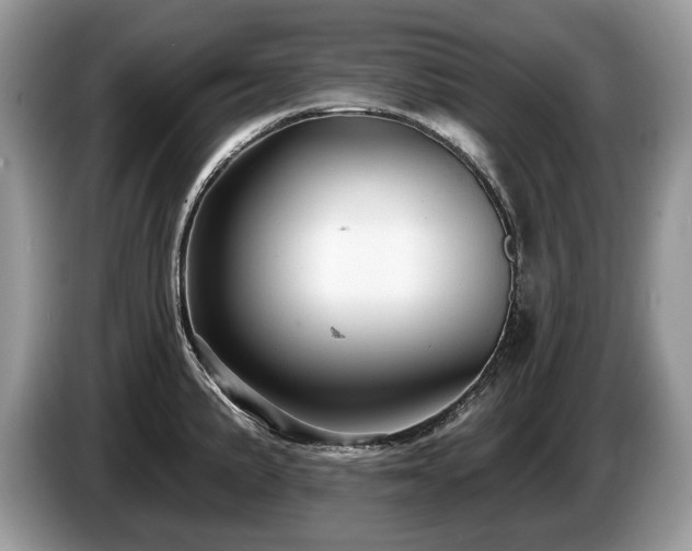 X0000087611191200704271335