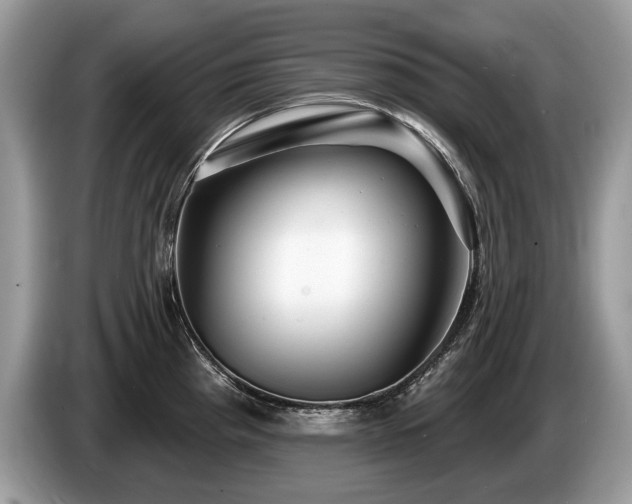 X0000087611193200704271335