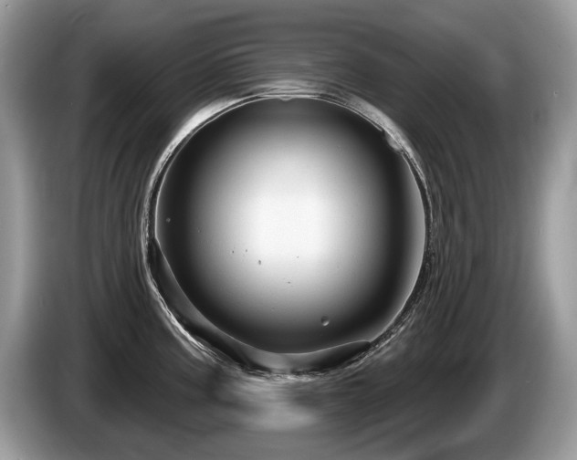 X0000087611195200704271335