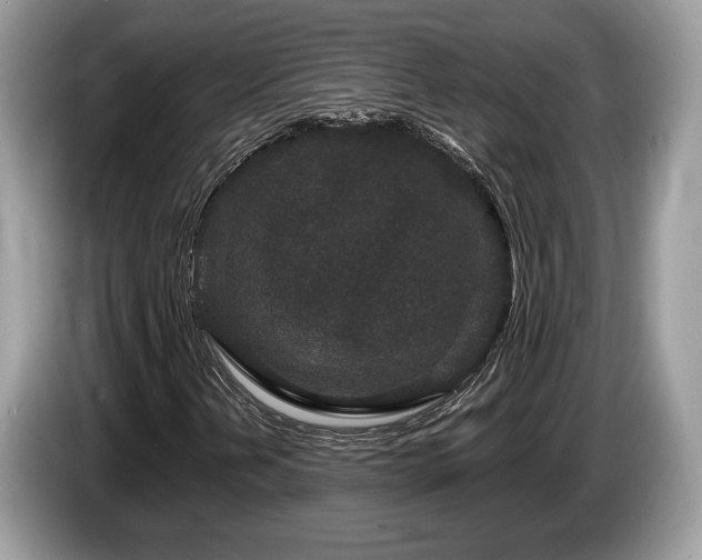 X0000087611202200704271334