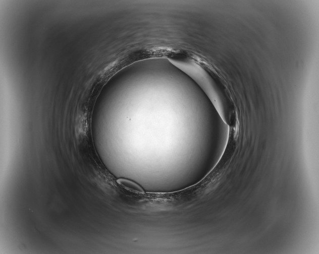 X0000087611204200704271334