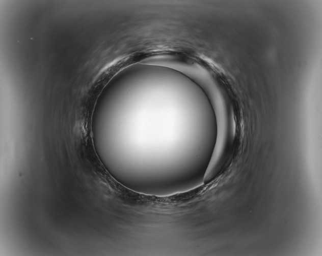 X0000087611206200704271334