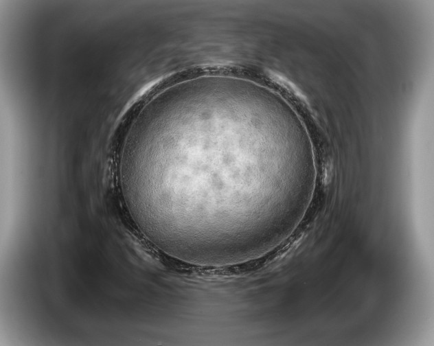 X0000087611208200704271334