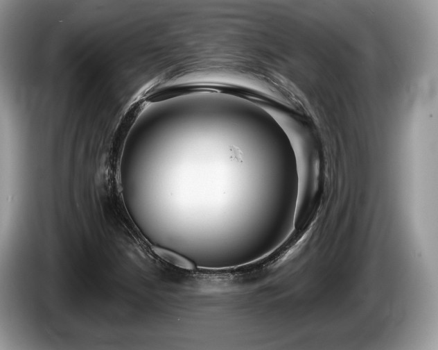 X0000087611210200704271334