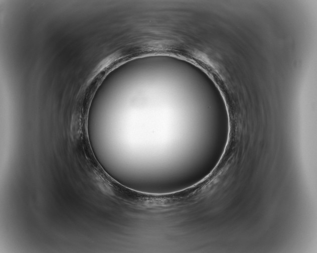 X0000087611211200704271334