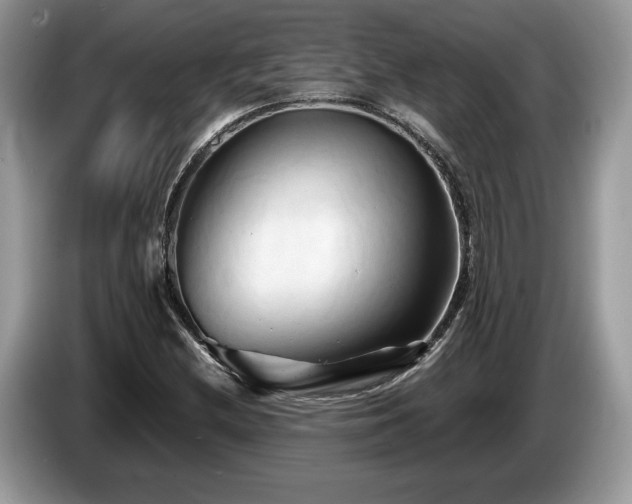X0000087611212200704271334