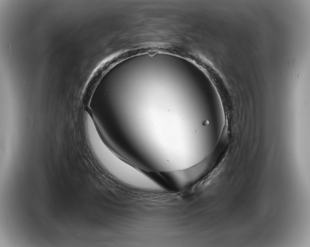 X0000087611214200704271334