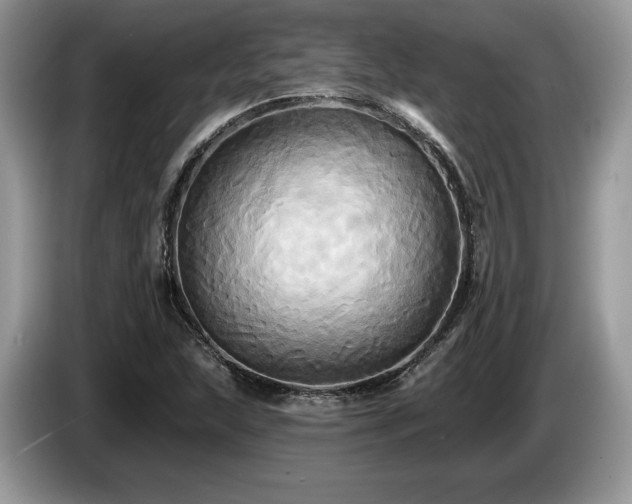 X0000087611215200704271335