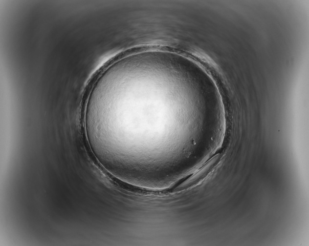 X0000087611216200704271335