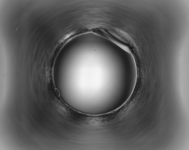 X0000087611217200704271335