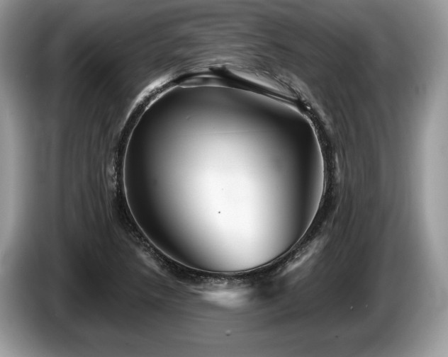 X0000087611218200704271335
