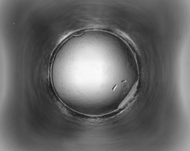 X0000087611220200704271335