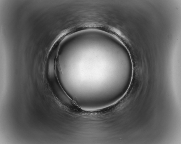 X0000087611221200704271335