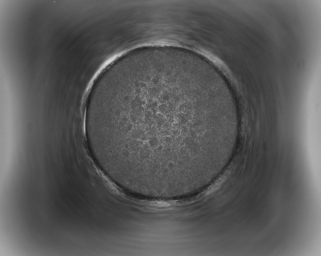 X0000087611224200704271335