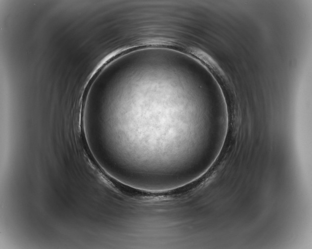 X0000087611228200704271335