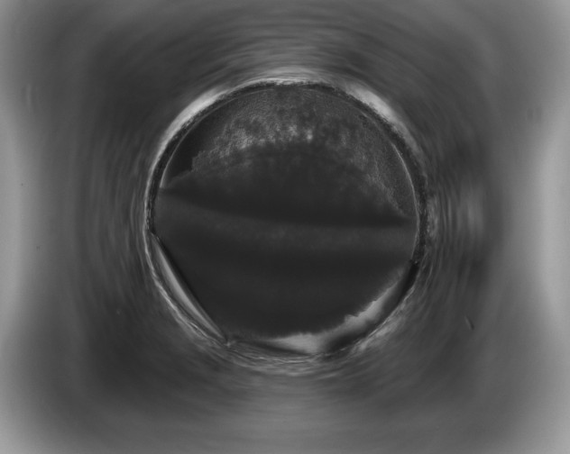 X0000087611229200704271335