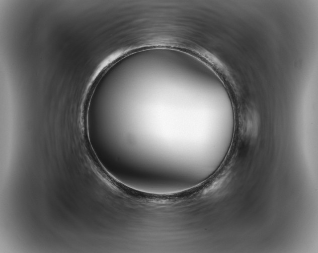 X0000087611230200704271335