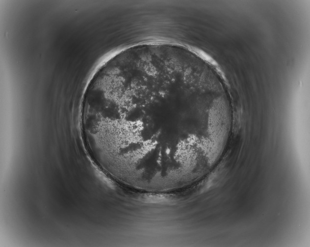 X0000087611231200704271335