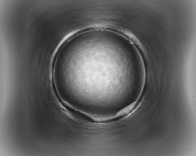 X0000087611232200704271335