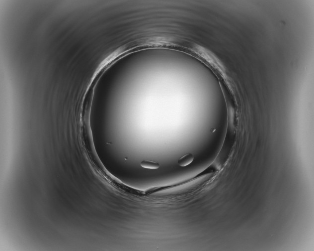 X0000087611234200704271335