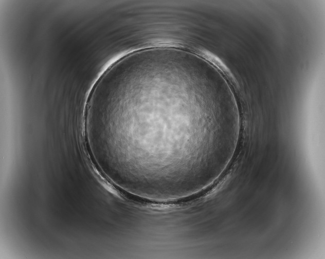 X0000087611236200704271335