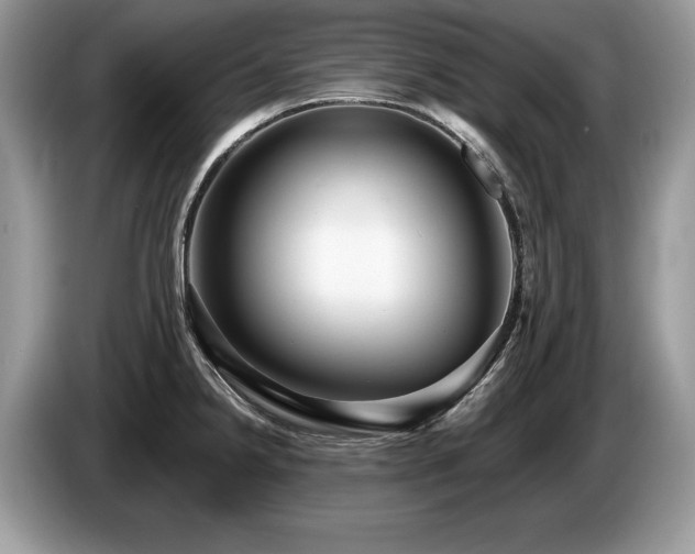 X0000087611238200704271335