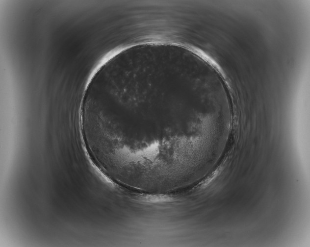 X0000087611239200704271335