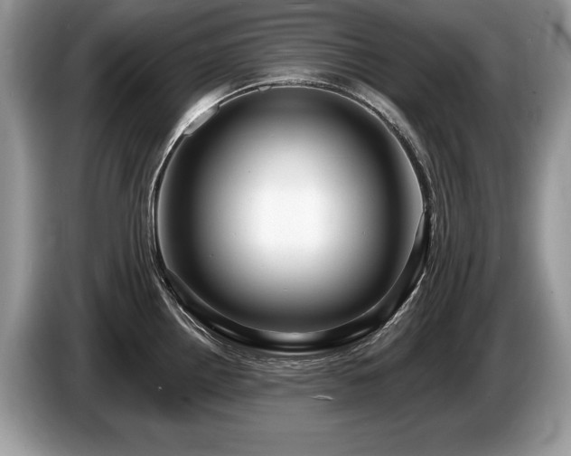 X0000087611242200704271335
