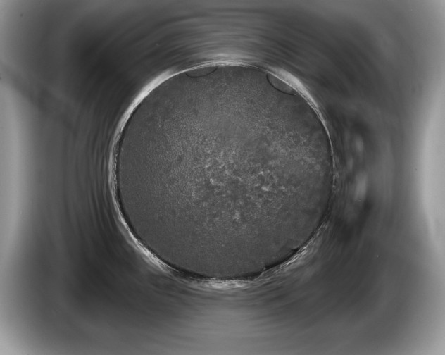 X0000087611243200704271335