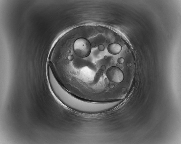 X0000087611247200704271335