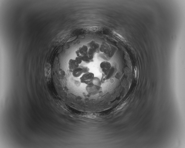 X0000087611251200704271334