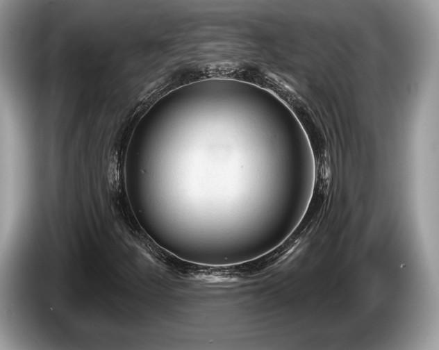 X0000087611252200704271334