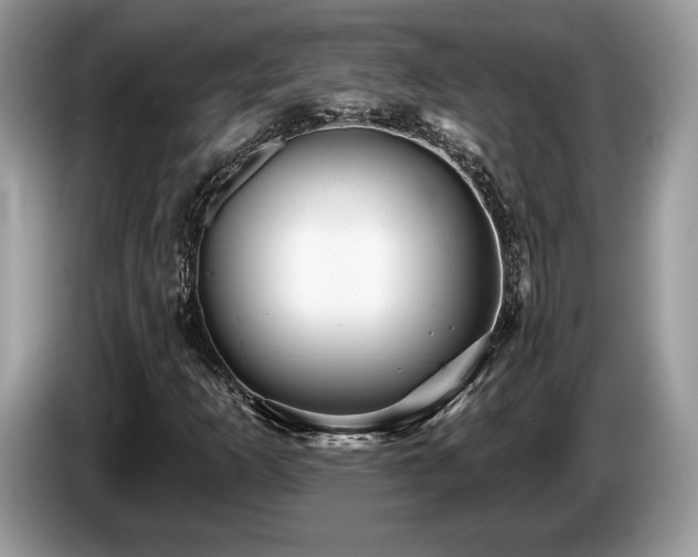 X0000087611253200704271334