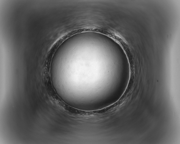 X0000087611256200704271334