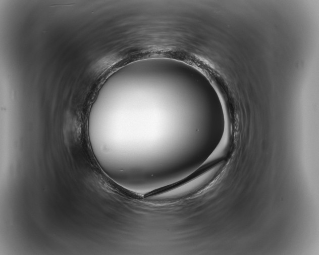 X0000087611257200704271334