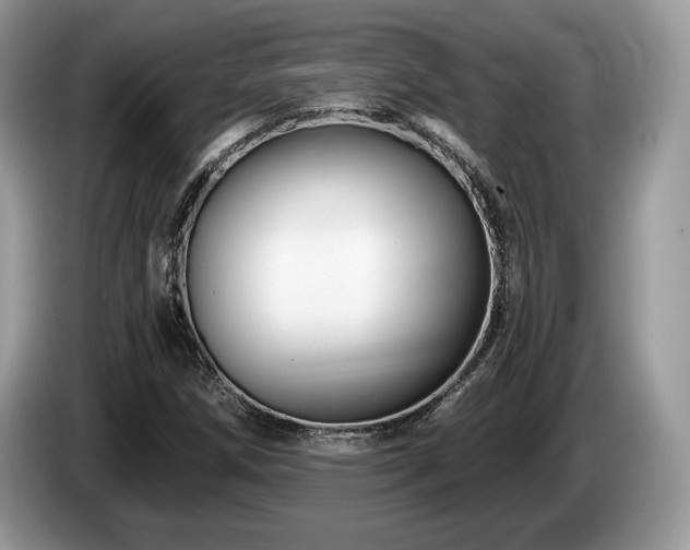 X0000087611258200704271334