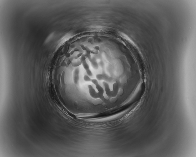 X0000087611259200704271334