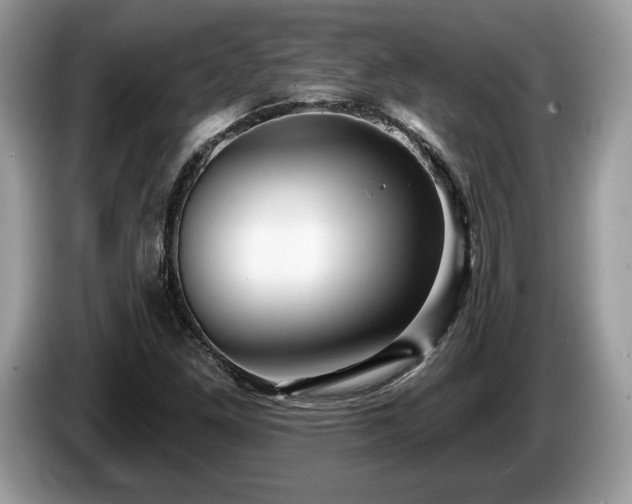 X0000087611261200704271334