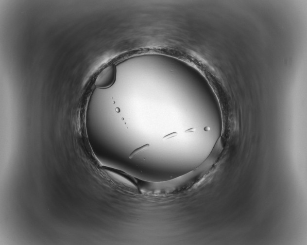 X0000087611262200704271334
