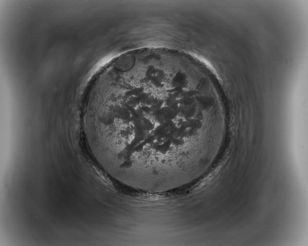 X0000087611263200704271334