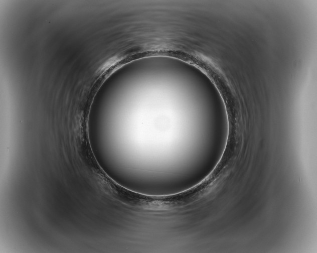 X0000087611265200704271334