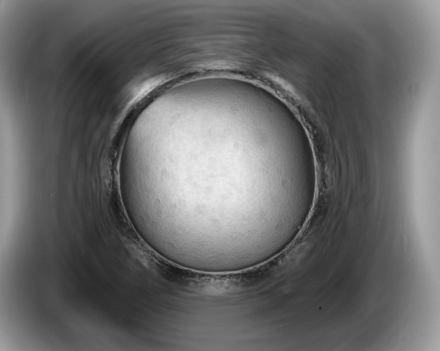 X0000087611266200704271334