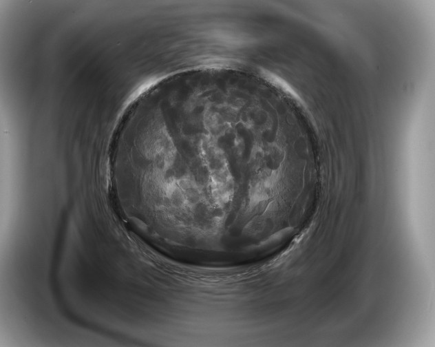 X0000087611267200704271334