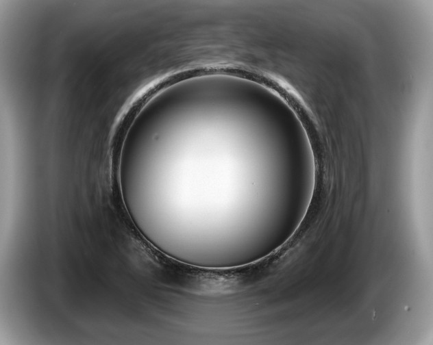 X0000087611270200704271334