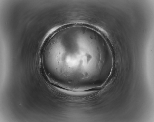 X0000087611271200704271334