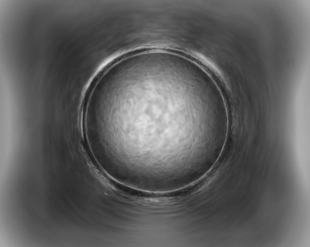 X0000087611272200704271334