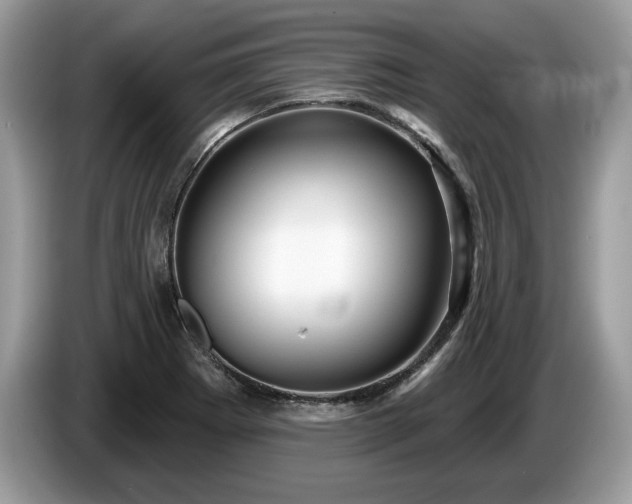 X0000087611273200704271334